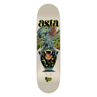 Asta - Cosmic Eyes Twin Tip - 8.2!